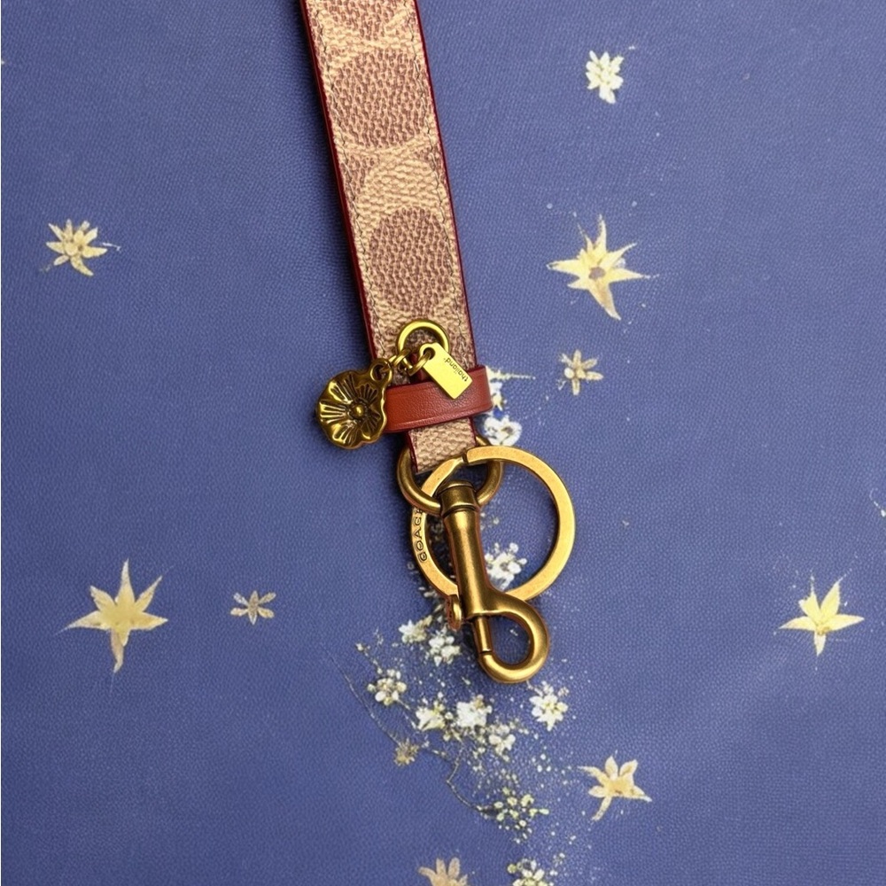 🍃Coach Brown and Gold Key Holder - Picture 2 of 8